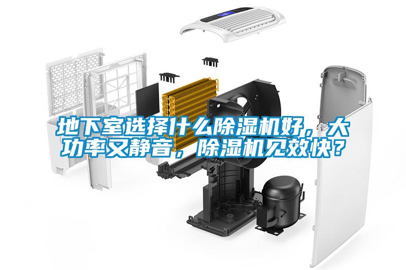 欧美成色手机在线观看 地下室选择什么除湿机好，大功率又静音，除湿机见效快？