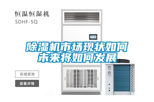 欧美黄色电影在线播放 除湿机市场现状如何未来将如何发展