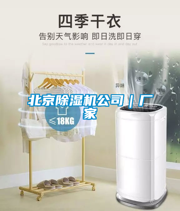 欧美黄色电影在线播放 北京除湿机公司｜厂家