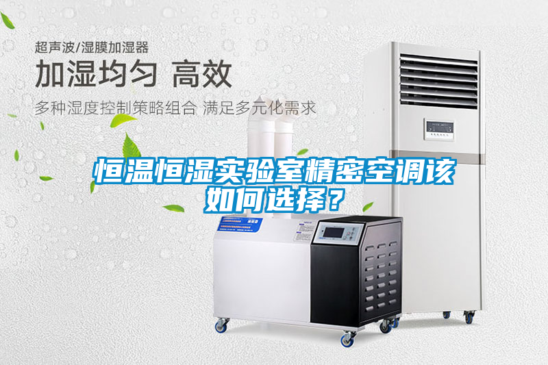 欧美黄色电影在线播放 恒温恒湿实验室精密空调该如何选择？