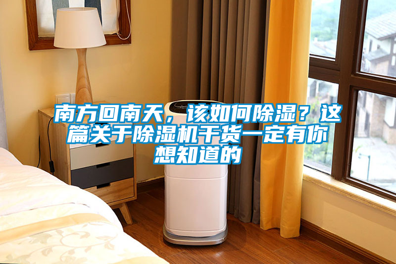 欧美成色手机在线观看 南方回南天，该如何除湿？这篇关于除湿机干货一定有你想知道的