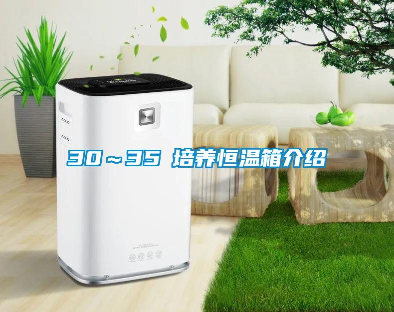 欧美黄色性爱视频网站 30～35℃培养恒温箱介绍