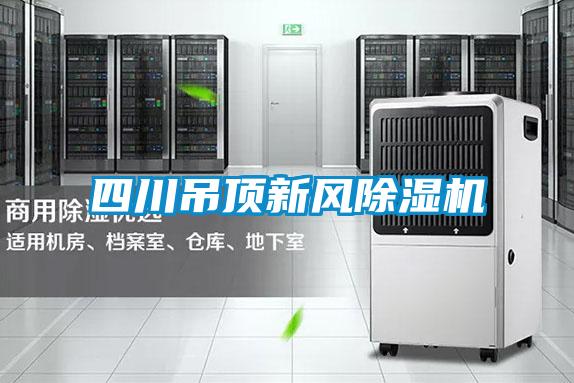 欧美成色手机在线观看 四川吊顶新风除湿机
