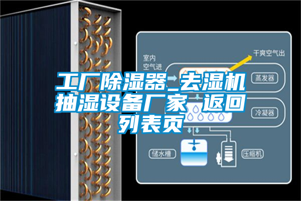 欧美黄色性爱视频网站 工厂除湿器_去湿机抽湿设备厂家 返回列表页