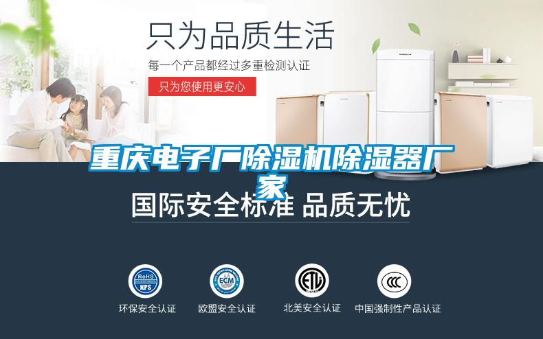 欧美黄色性爱视频网站 重庆电子厂除湿机除湿器厂家