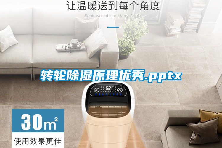 欧美黄色性爱视频网站 转轮除湿原理优秀.pptx