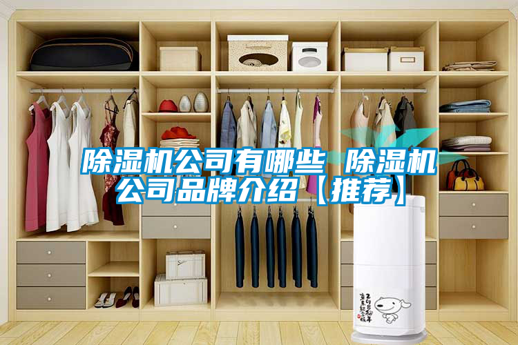 欧美成色手机在线观看 除湿机公司有哪些 除湿机公司品牌介绍【推荐】