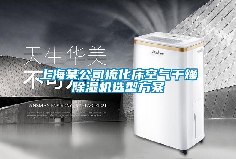 欧美黄色性爱视频网站 上海某公司流化床空气干燥除湿机选型方案