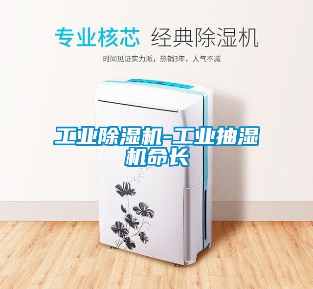 欧美黄色性爱视频网站 工业除湿机-工业抽湿机命长