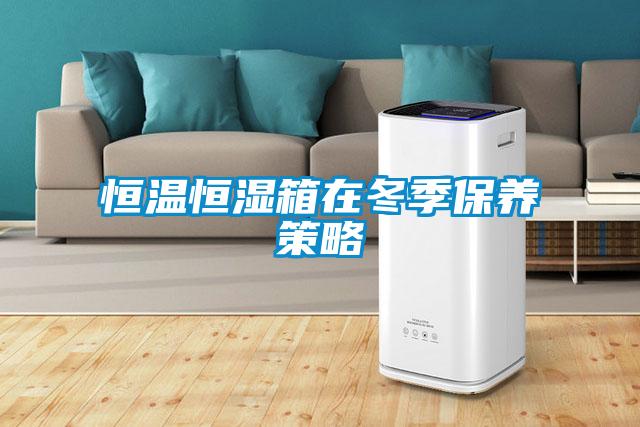 欧美黄色电影在线播放 恒温恒湿箱在冬季保养策略