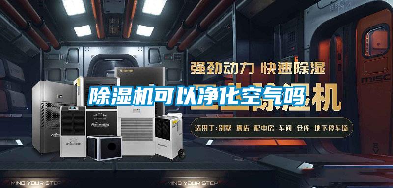 欧美成色手机在线观看 除湿机可以净化空气吗