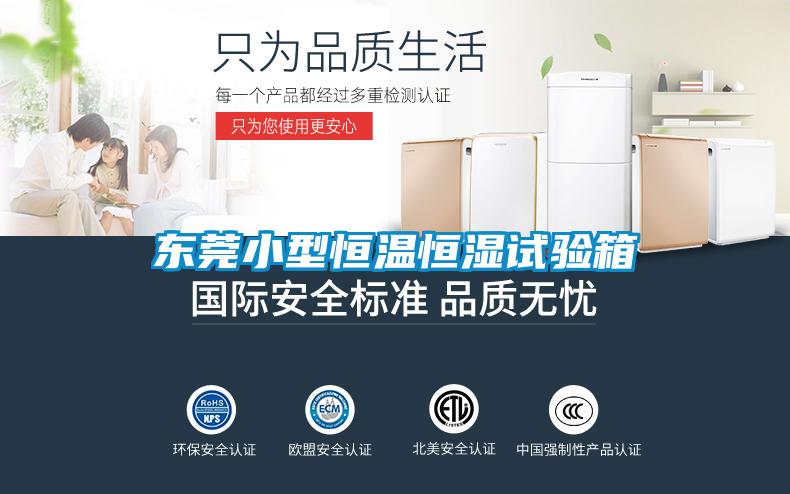欧美黄色电影在线播放 东莞小型恒温恒湿试验箱