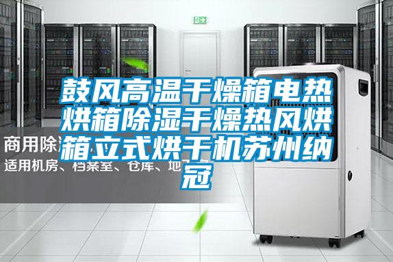 欧美成色手机在线观看 鼓风高温干燥箱电热烘箱除湿干燥热风烘箱立式烘干机苏州纳冠