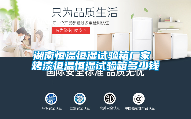 欧美黄色性爱视频网站 湖南恒温恒湿试验箱厂家 烤漆恒温恒湿试验箱多少钱