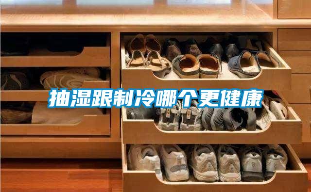 欧美黄色性爱视频网站 抽湿跟制冷哪个更健康