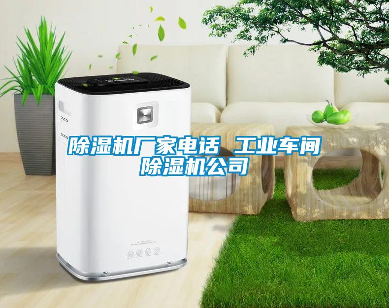 欧美黄色性爱视频网站 除湿机厂家电话 工业车间除湿机公司