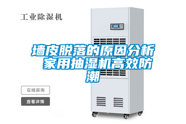 欧美黄色性爱视频网站 墙皮脱落的原因分析 家用抽湿机高效防潮
