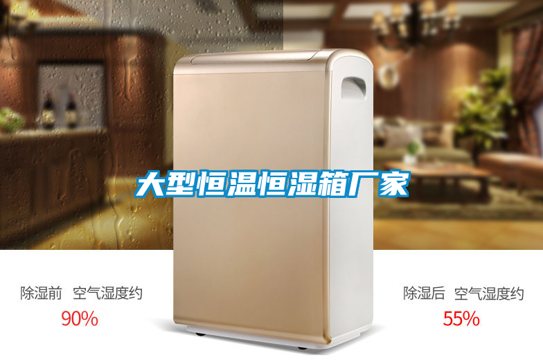 欧美黄色电影在线播放 大型恒温恒湿箱厂家
