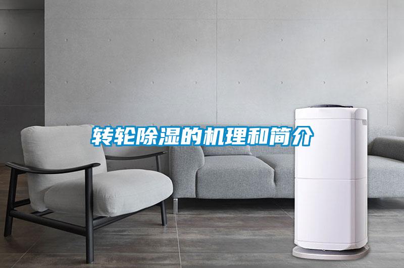 欧美成色手机在线观看 转轮除湿的机理和简介