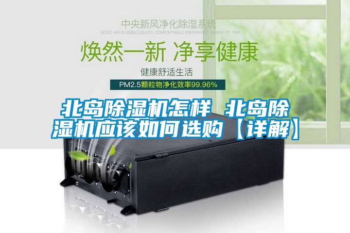 欧美黄色电影在线播放 北岛除湿机怎样 北岛除湿机应该如何选购【详解】