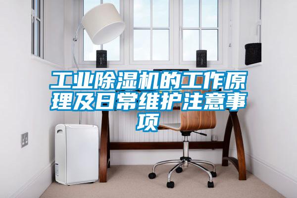 欧美成色手机在线观看 工业除湿机的工作原理及日常维护注意事项