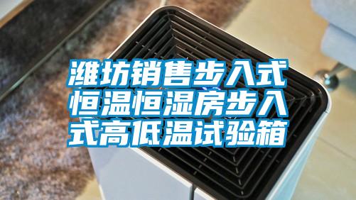 欧美成色手机在线观看 潍坊销售步入式恒温恒湿房步入式高低温试验箱