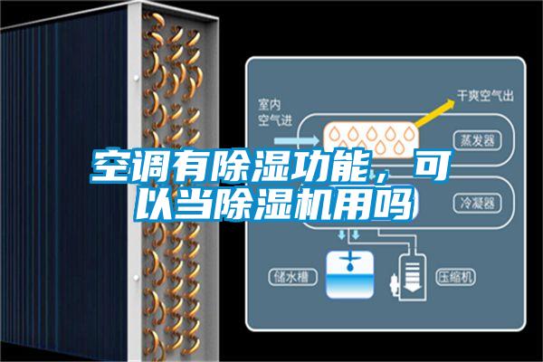 欧美黄色电影在线播放 空调有除湿功能，可以当除湿机用吗