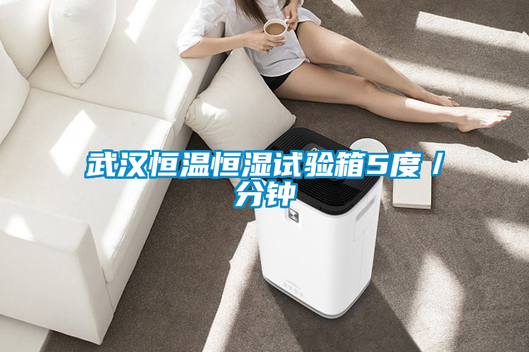 欧美成色手机在线观看 武汉恒温恒湿试验箱5度／分钟