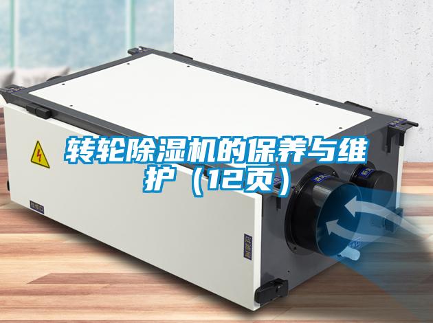 欧美黄色电影在线播放 转轮除湿机的保养与维护（12页）
