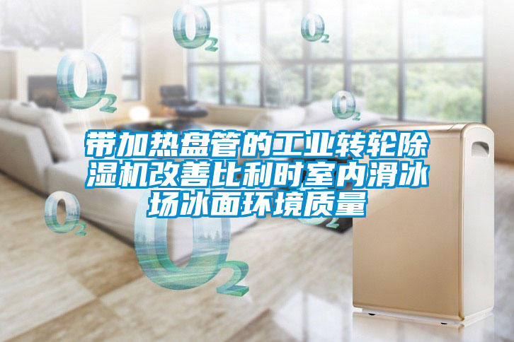 欧美黄色性爱视频网站 带加热盘管的工业转轮除湿机改善比利时室内滑冰场冰面环境质量