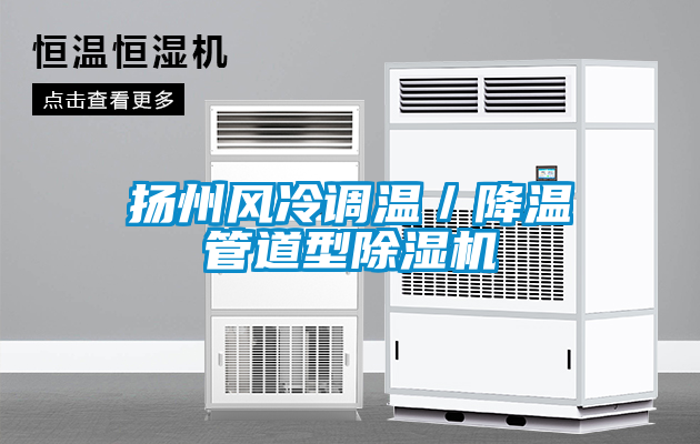 欧美成色手机在线观看 扬州风冷调温／降温管道型除湿机