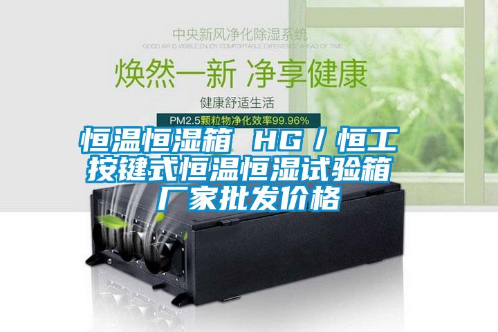 欧美黄色电影在线播放 恒温恒湿箱 HG／恒工 按键式恒温恒湿试验箱 厂家批发价格