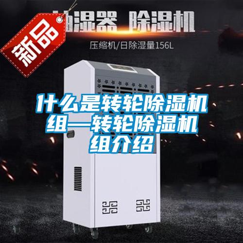 欧美黄色电影在线播放 什么是转轮除湿机组—转轮除湿机组介绍