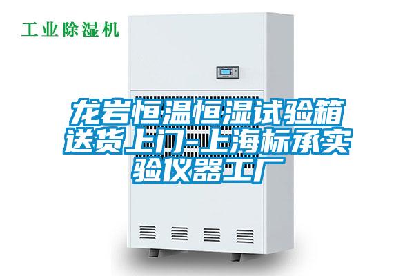 欧美黄色性爱视频网站 龙岩恒温恒湿试验箱送货上门-上海标承实验仪器工厂