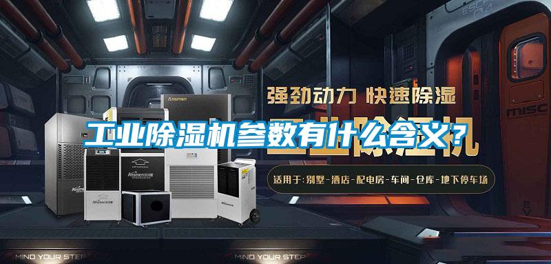 欧美黄色性爱视频网站 工业除湿机参数有什么含义？