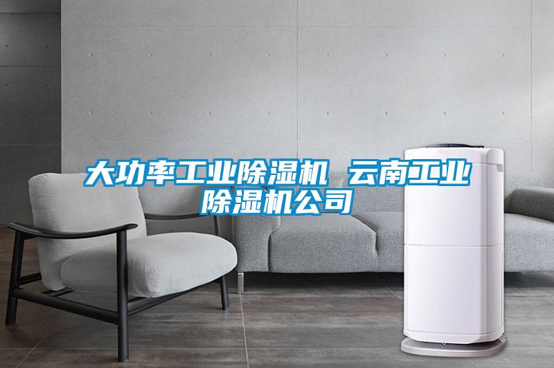 欧美黄色性爱视频网站 大功率工业除湿机 云南工业除湿机公司