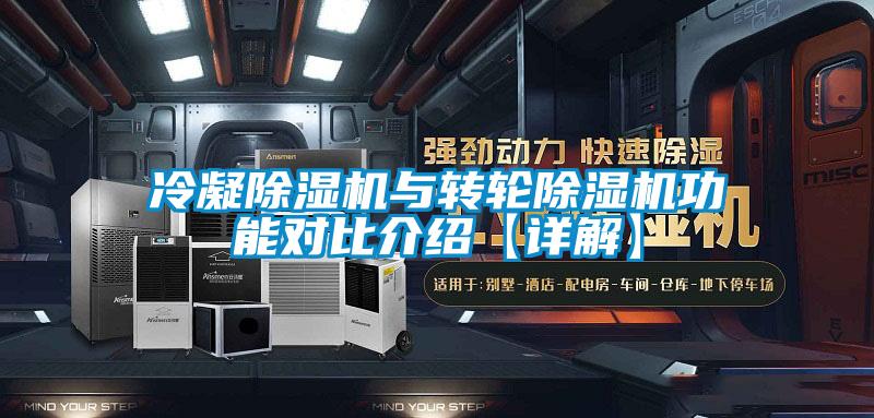 欧美黄色电影在线播放 冷凝除湿机与转轮除湿机功能对比介绍【详解】
