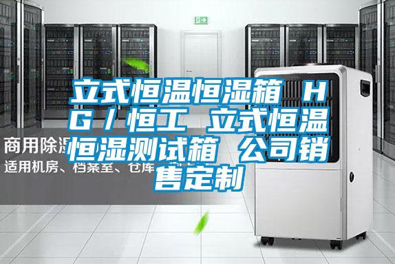 欧美成色手机在线观看 立式恒温恒湿箱 HG／恒工 立式恒温恒湿测试箱 公司销售定制