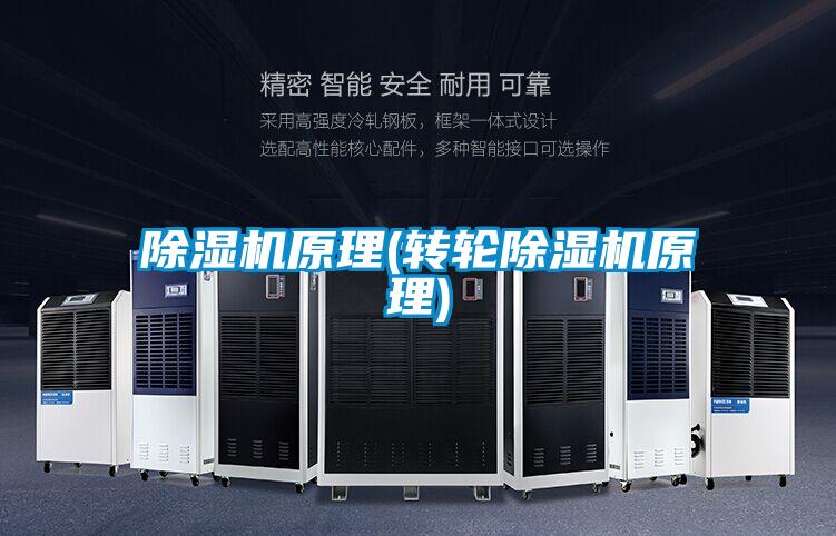 欧美黄色性爱视频网站 除湿机原理(转轮除湿机原理)