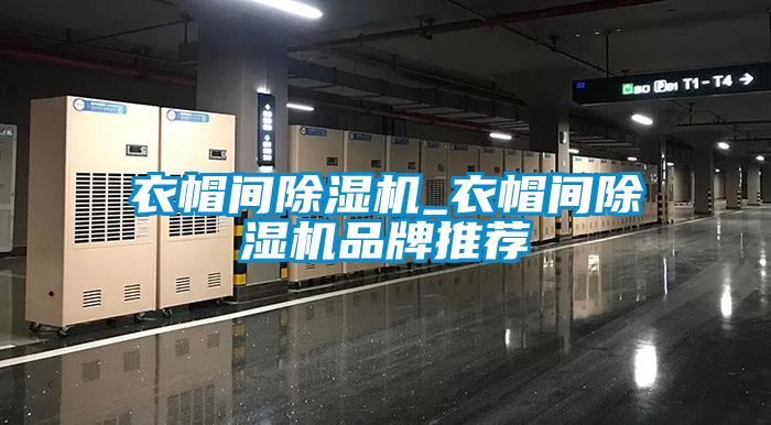 欧美成色手机在线观看 衣帽间除湿机_衣帽间除湿机品牌推荐
