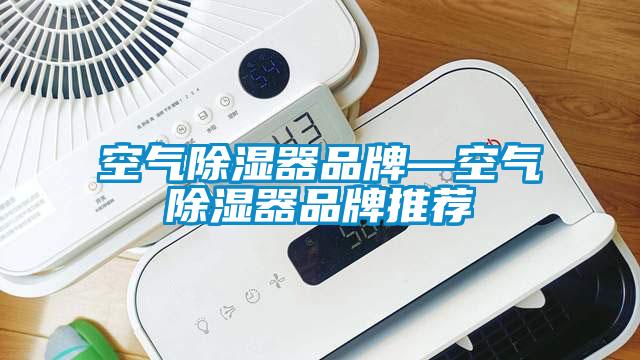 欧美成色手机在线观看 空气除湿器品牌—空气除湿器品牌推荐