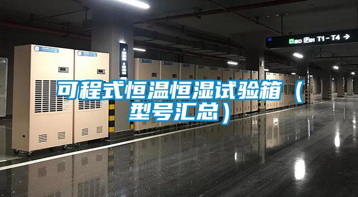 欧美成色手机在线观看 可程式恒温恒湿试验箱（型号汇总）