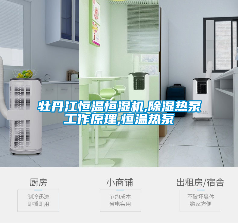 欧美黄色电影在线播放 牡丹江恒温恒湿机,除湿热泵工作原理,恒温热泵