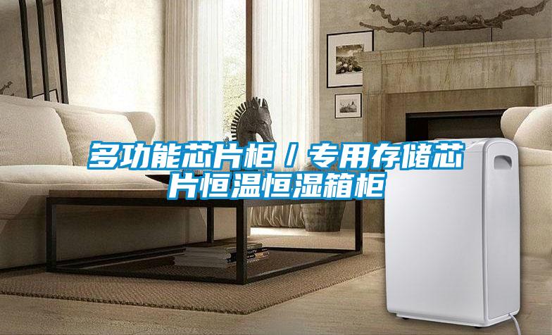 欧美黄色电影在线播放 多功能芯片柜／专用存储芯片恒温恒湿箱柜