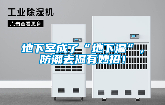 欧美成色手机在线观看 地下室成了“地下湿”，防潮去湿有妙招！