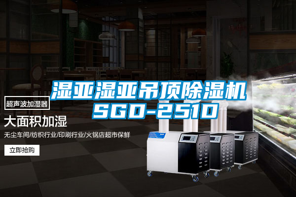 欧美黄色电影在线播放 湿亚湿亚吊顶除湿机 SGD-251D