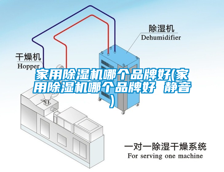 欧美成色手机在线观看 家用除湿机哪个品牌好(家用除湿机哪个品牌好 静音)