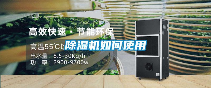 欧美黄色性爱视频网站 除湿机如何使用