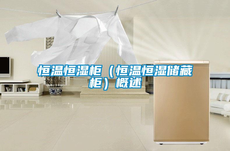 欧美黄色性爱视频网站 恒温恒湿柜（恒温恒湿储藏柜）概述