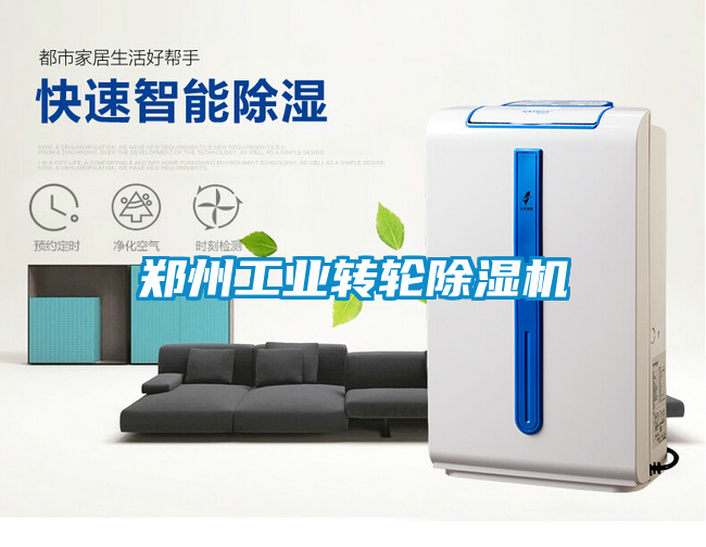 欧美黄色电影在线播放 郑州工业转轮除湿机